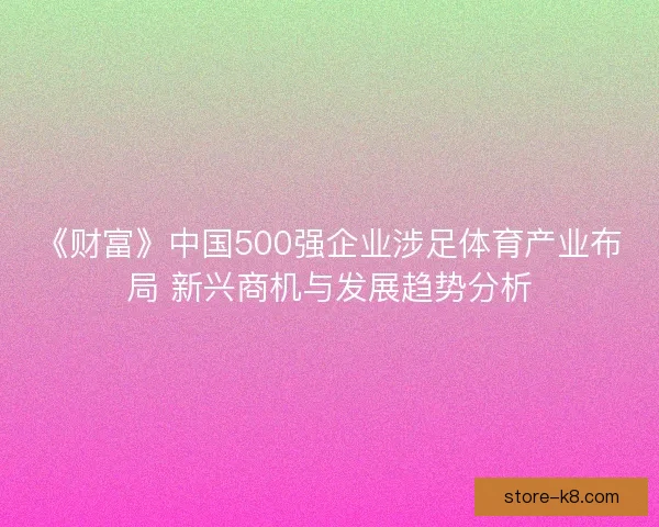 《财富》中国500强企业涉足体育产业布局 新兴商机与发展趋势分析